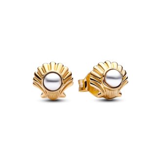 262686C01 - 14k Gold-plated earrings