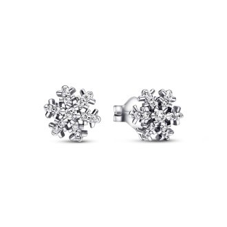 292370C01 - Sterling silver earrings