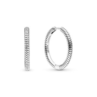 Pandora Moments Charm Hoop Earrings