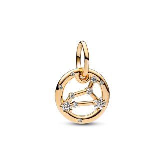 762725C01 - 14k Gold-plated charm