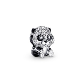 790771C01 - Sterling silver charm