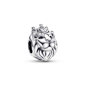 792199C01 - Sterling silver charm