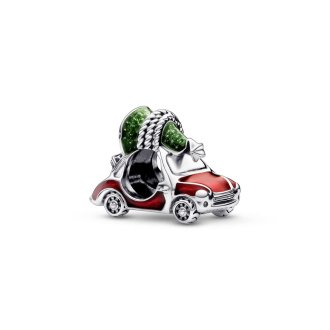 792358C01 - Sterling silver charm