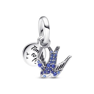 792570C01 - Sterling silver charm
