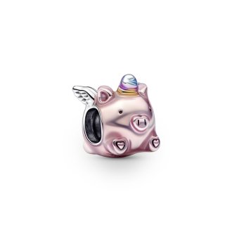792573C01 - Sterling silver charm