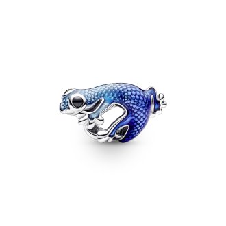 792701C01 - Sterling silver charm