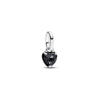 793042C01 - Sterling silver charm
