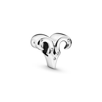 798416C01 - Sterling silver charm