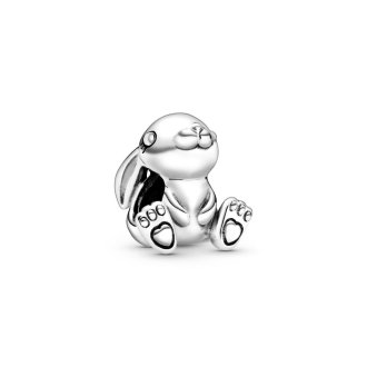 798763C00 - Sterling silver charm