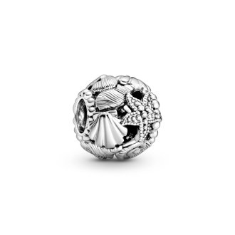798950C00 - Sterling silver charm