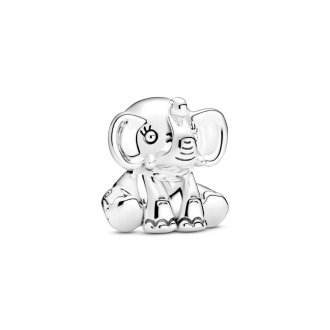 799088C00 - Sterling silver charm