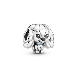 799386C01 - Sterling silver charm