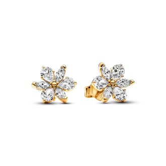 262633C01 - Herbarium cluster 14k gold-plated stud earrings with clear cubic zirconia